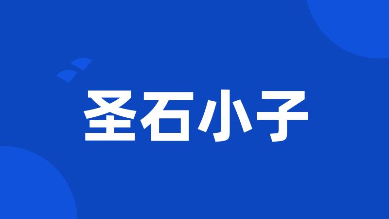 圣石小子