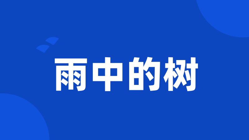 雨中的树