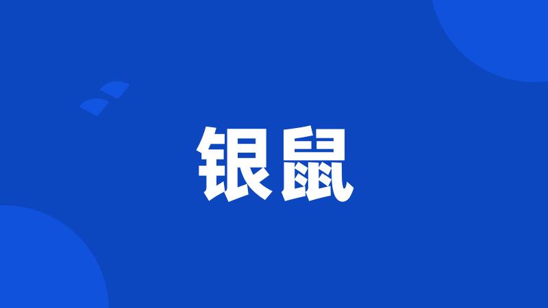 银鼠
