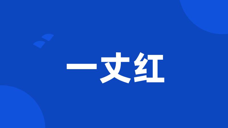 一丈红