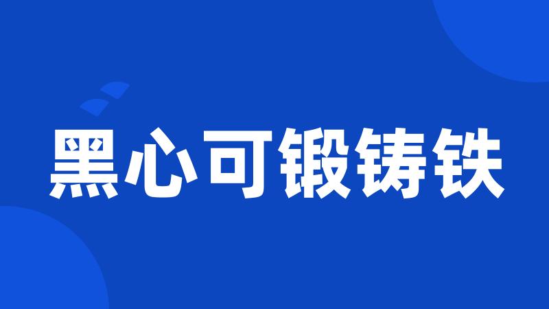 黑心可锻铸铁