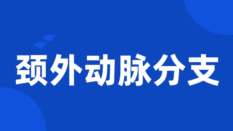 颈外动脉分支