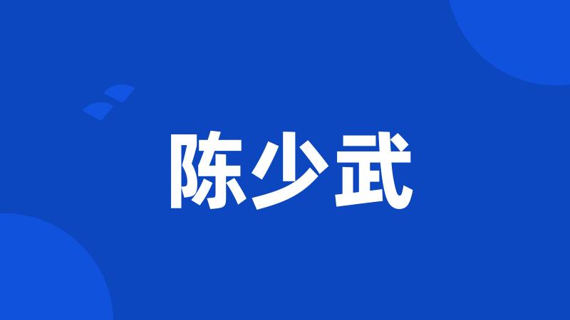陈少武