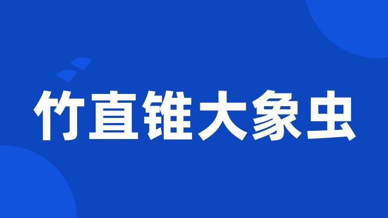 竹直锥大象虫