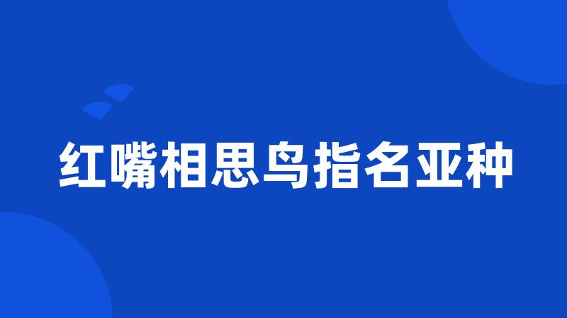 红嘴相思鸟指名亚种
