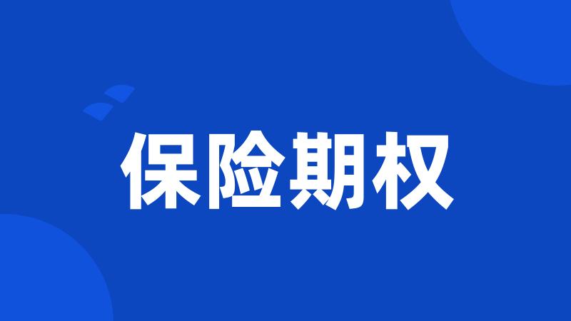 保险期权