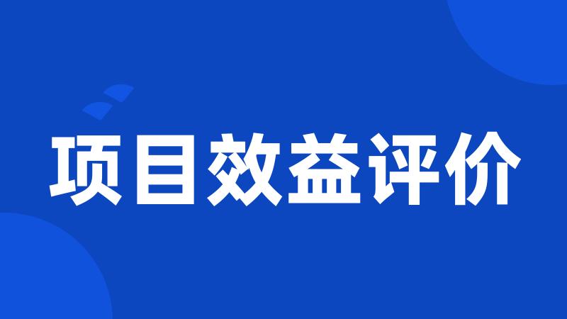 项目效益评价