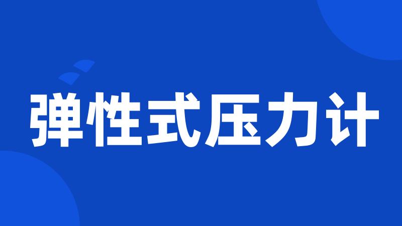弹性式压力计
