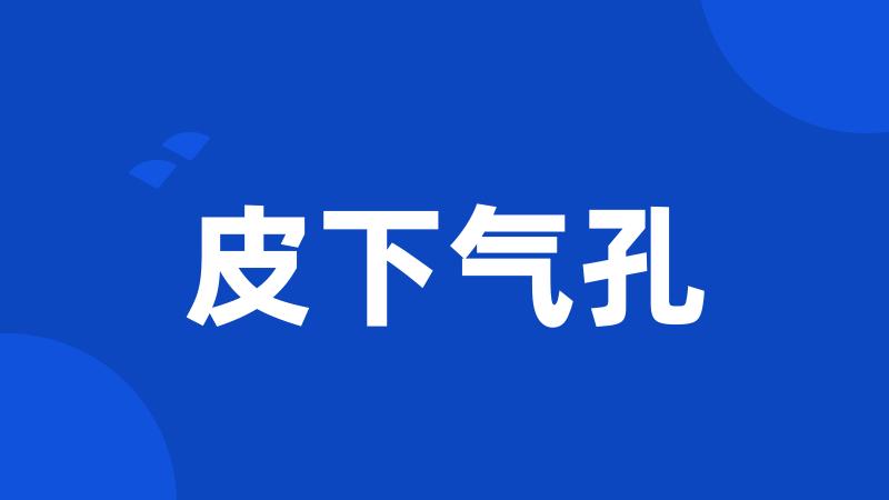 皮下气孔