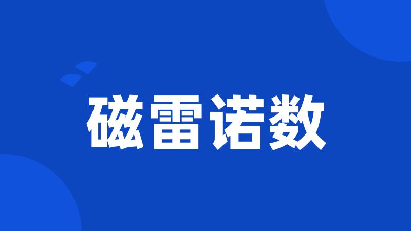 磁雷诺数