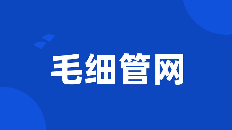 毛细管网