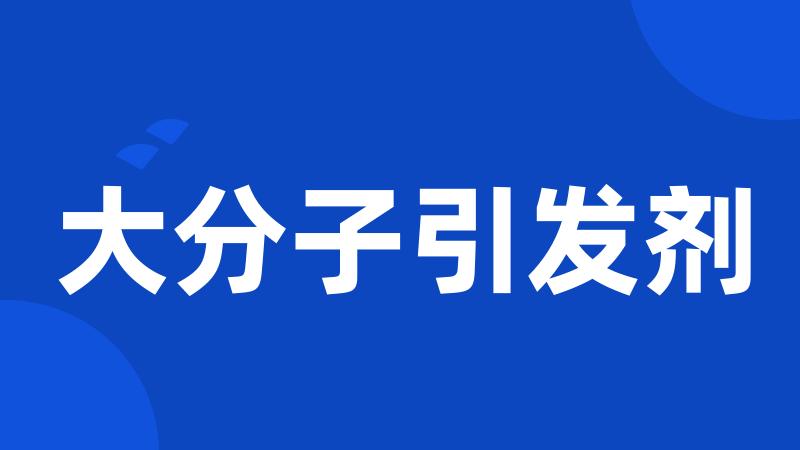 大分子引发剂