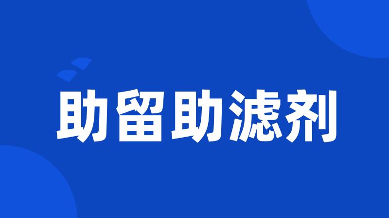 助留助滤剂
