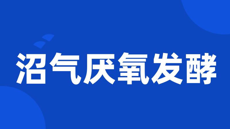 沼气厌氧发酵
