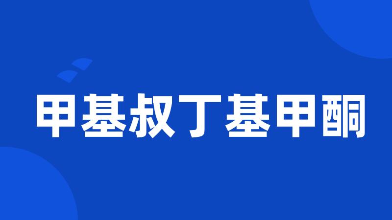 甲基叔丁基甲酮
