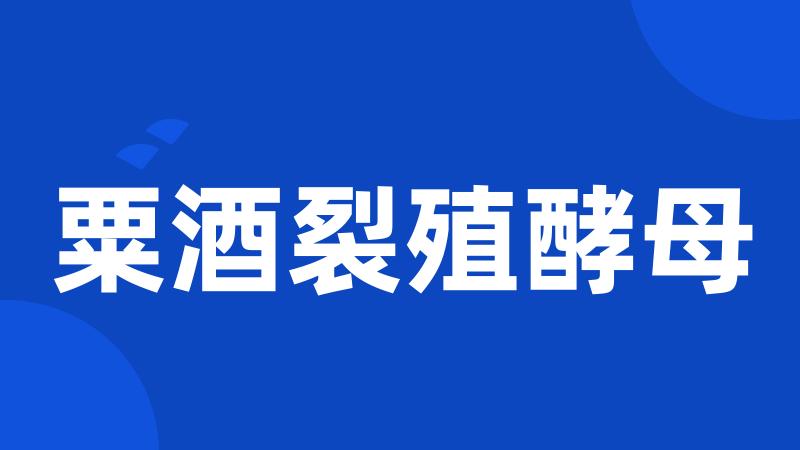粟酒裂殖酵母