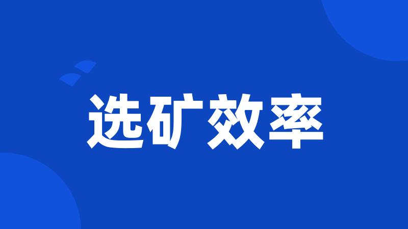选矿效率
