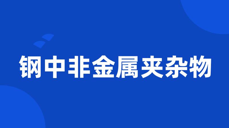 钢中非金属夹杂物
