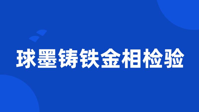 球墨铸铁金相检验
