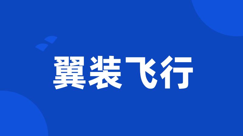 翼装飞行