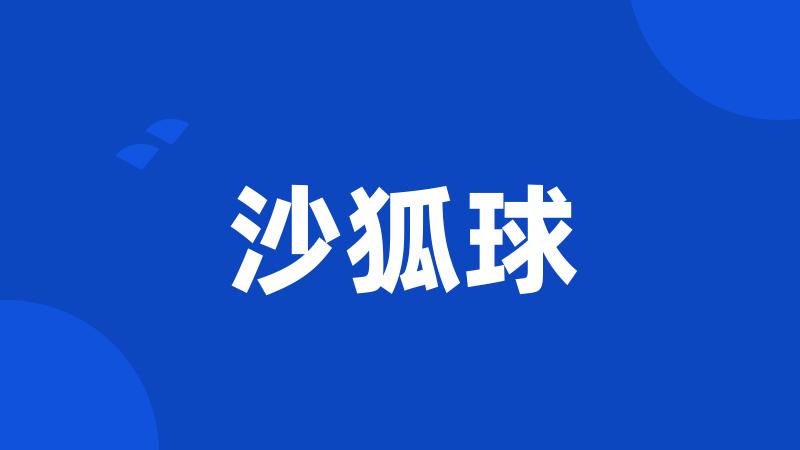 沙狐球
