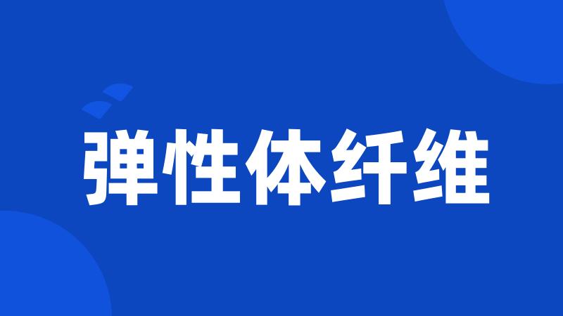 弹性体纤维