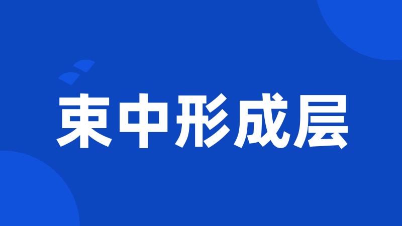 束中形成层