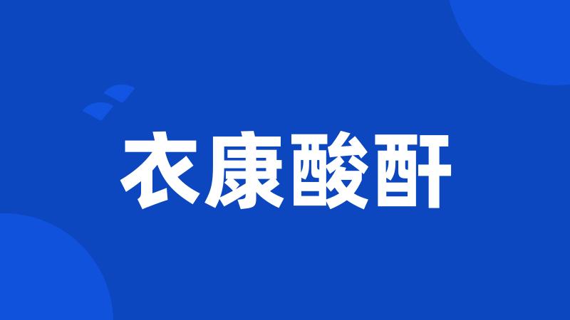 衣康酸酐