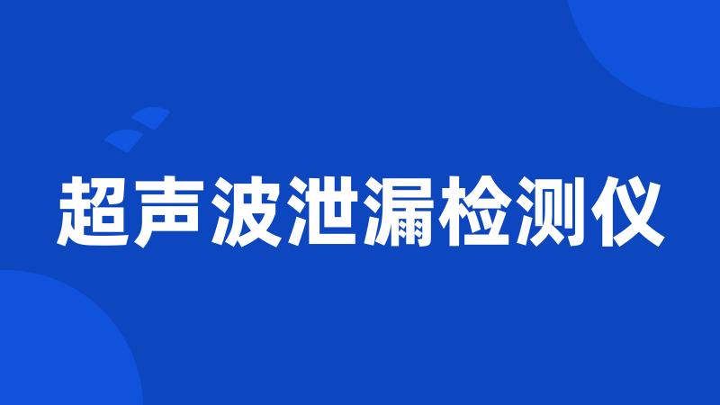 超声波泄漏检测仪