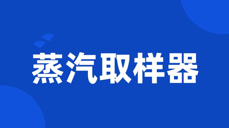蒸汽取样器