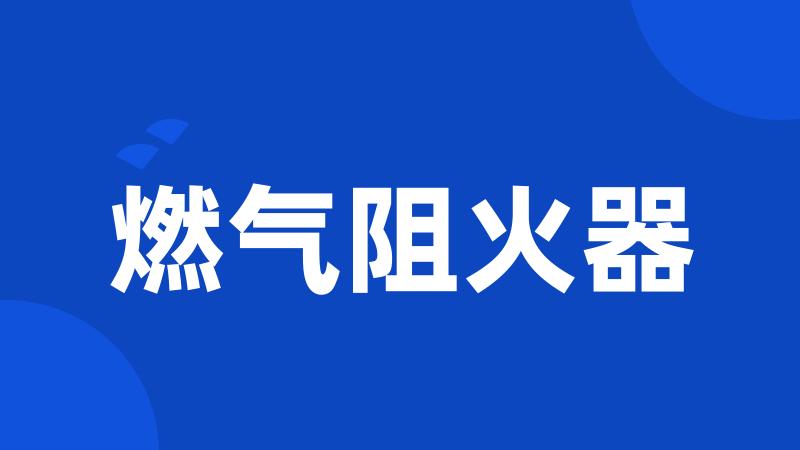 燃气阻火器