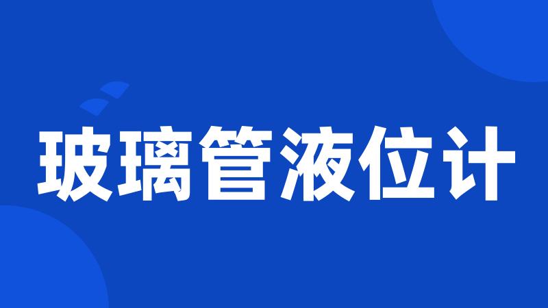 玻璃管液位计