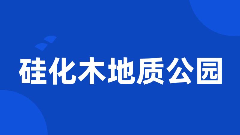 硅化木地质公园