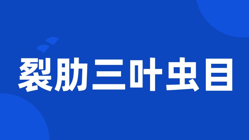 裂肋三叶虫目