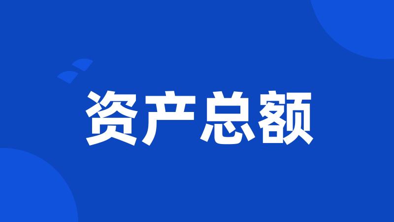 资产总额