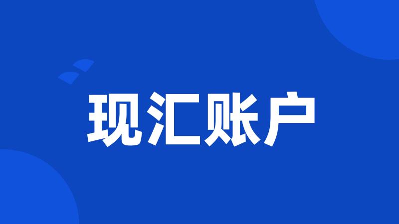 现汇账户