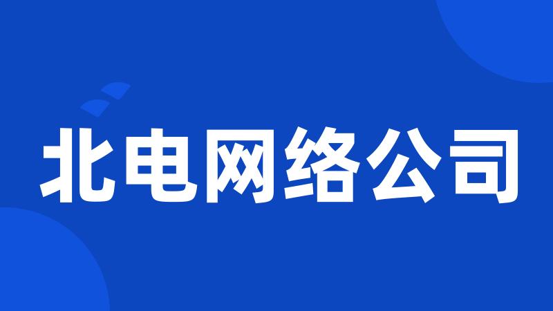 北电网络公司