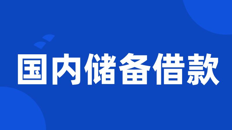 国内储备借款