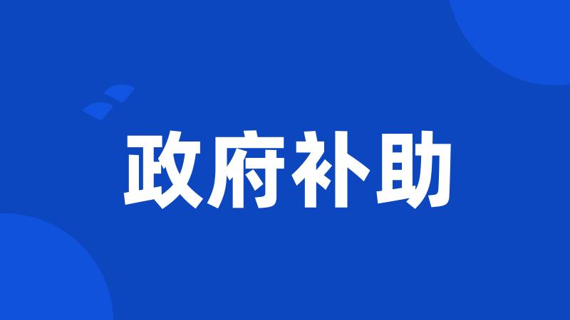 政府补助