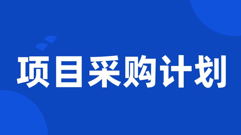 项目采购计划