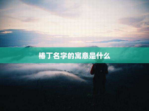 椿丁名字的寓意是什么