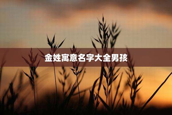 金姓寓意名字大全男孩