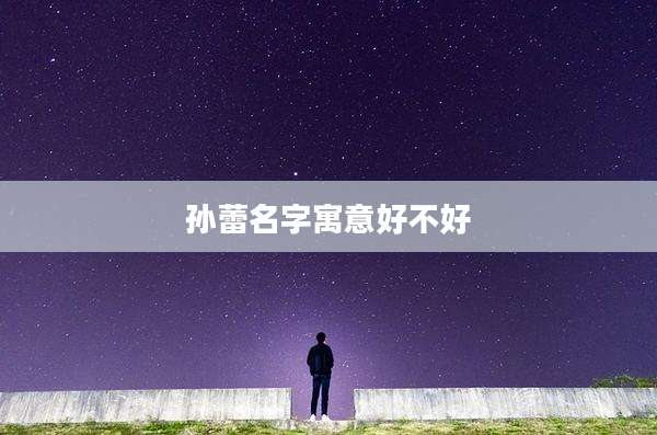 孙蕾名字寓意好不好