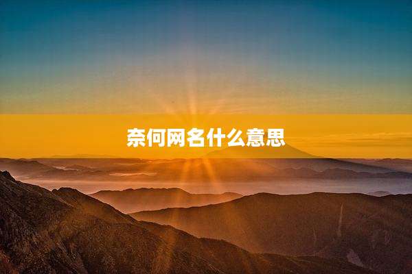 奈何网名什么意思