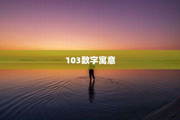 103数字寓意