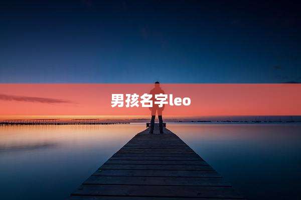 男孩名字leo