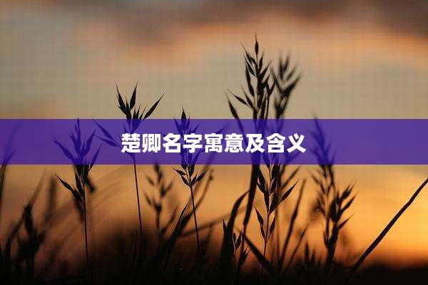 楚卿名字寓意及含义