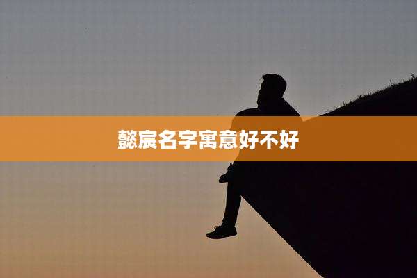 懿宸名字寓意好不好
