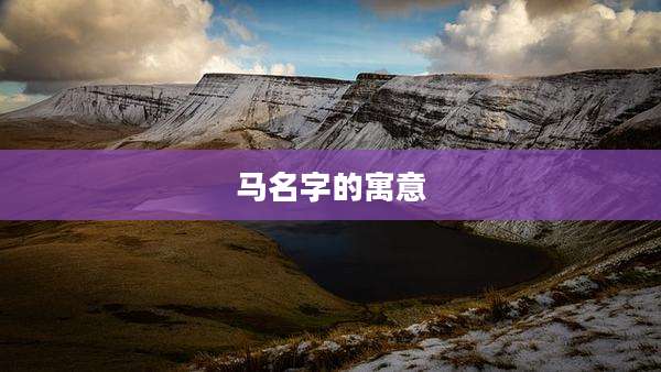 马名字的寓意