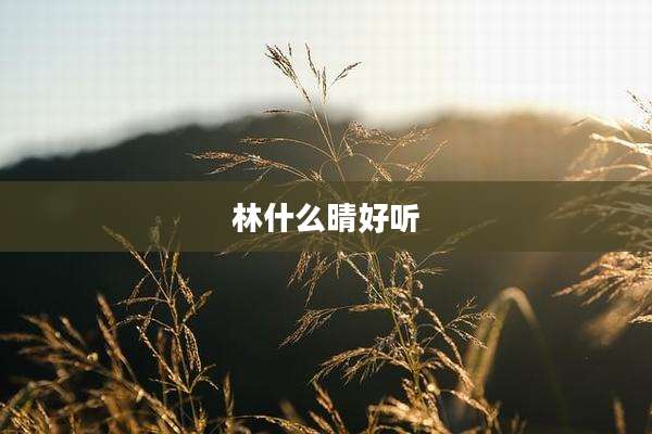 林什么晴好听